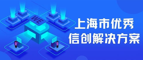 上海互聯(lián)網(wǎng)軟件集團(tuán) 高端協(xié)同管理軟件產(chǎn)品與企業(yè)管理咨詢(xún)服務(wù)專(zhuān)家