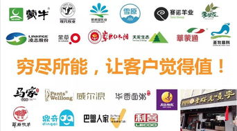 戰(zhàn)略顧問(wèn)與品牌策略 企業(yè)管理咨詢(xún)的智慧引擎